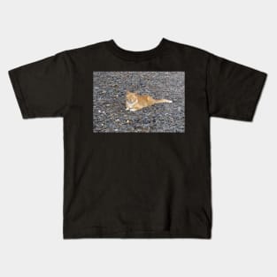 a red cat on the beach Kids T-Shirt